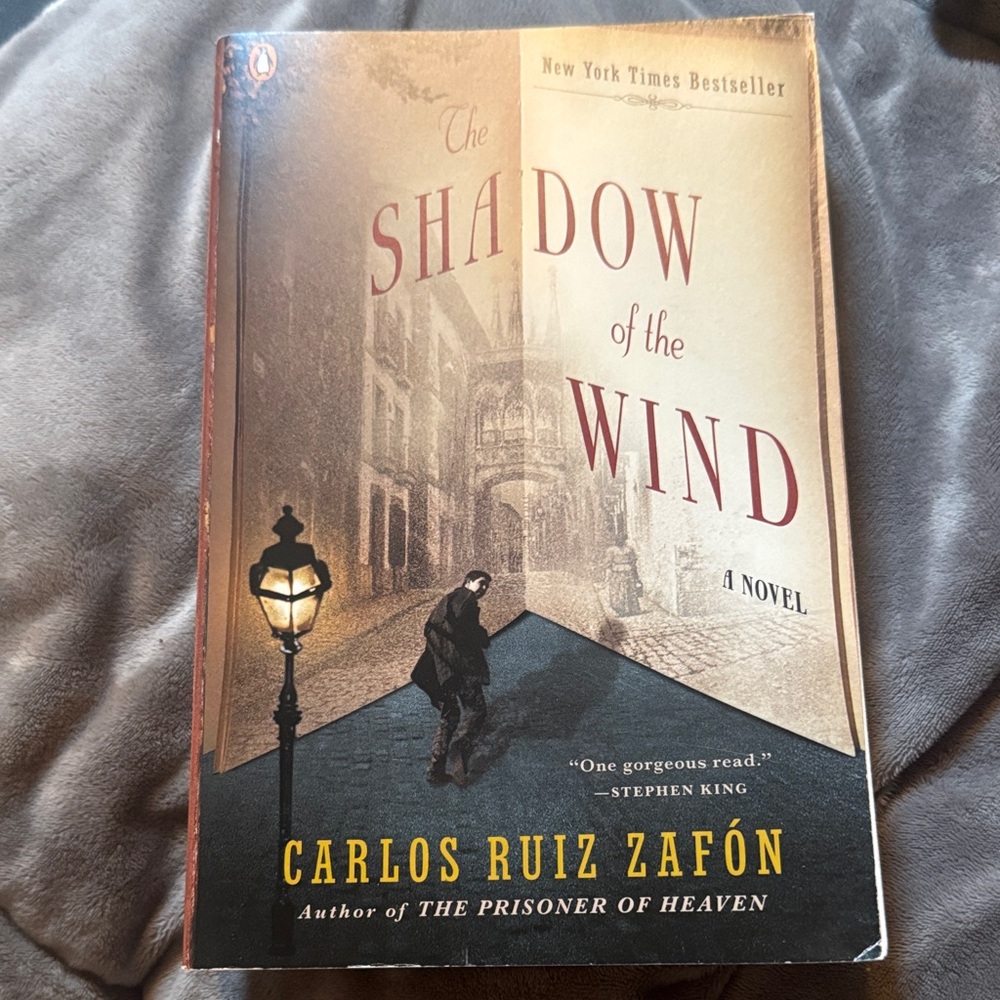 The Shadow of the Wind by Carlos Ruiz Zafón
